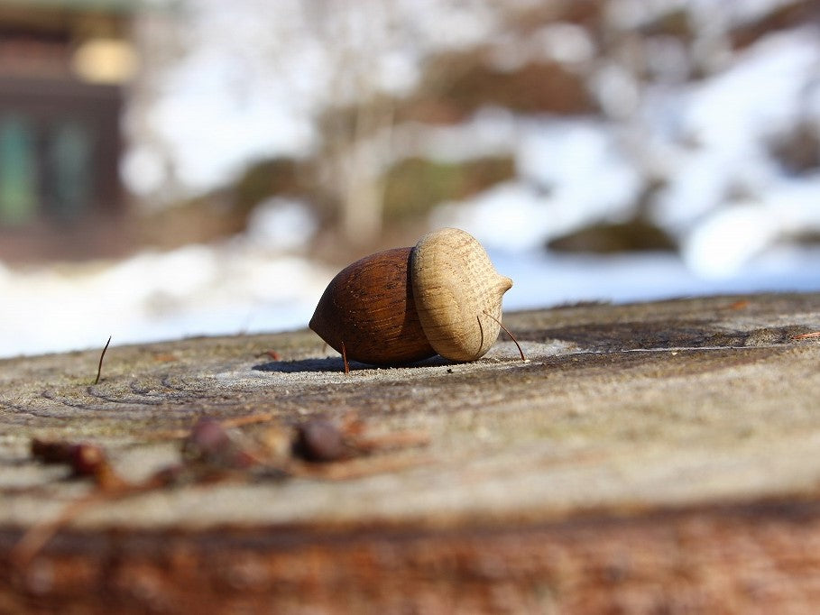 どんぐりカードスタンド