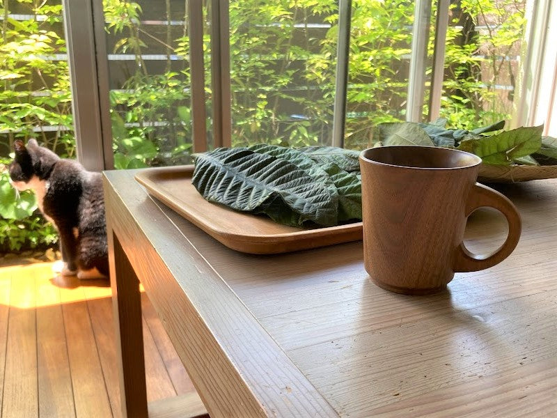 マグカップ・大